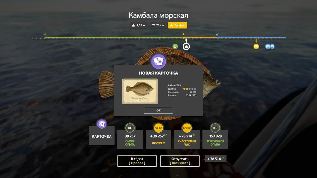 ���������� ����: ��������� ������ � �������� ��������� � �������