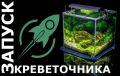 ��� ��������� �������� � ����������: ������ ��� ����������