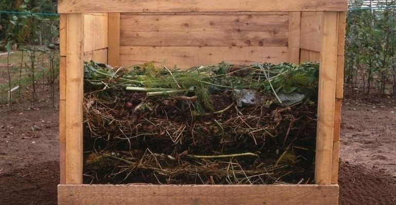 Искусство компостирования: от создания до ухода
